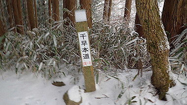 p1264258_thumb.jpg
