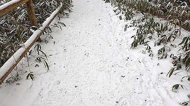p1264260_thumb.jpg