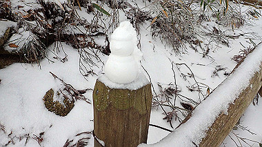 p1264271_thumb.jpg
