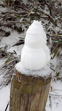 p1264273_thumb.jpg