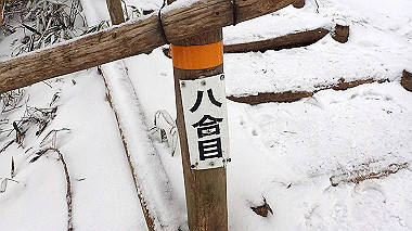p1264274_thumb.jpg
