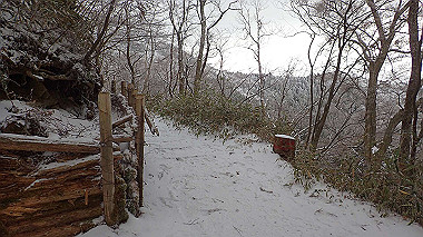 p1264275_thumb.jpg
