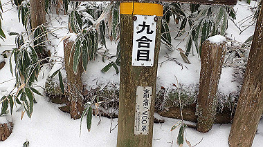p1264289_thumb.jpg