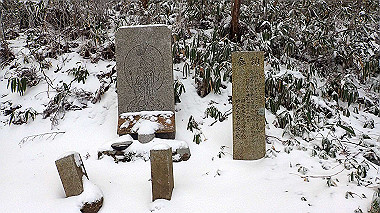 p1264292_thumb.jpg