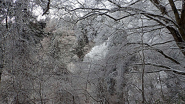 p1264294_thumb.jpg