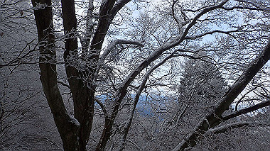 p1264300_thumb.jpg