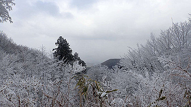 p1264314_thumb.jpg
