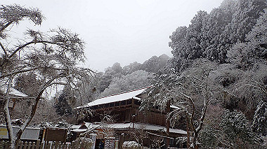 p1264337_thumb.jpg