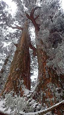 p1264349_thumb.jpg