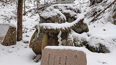 p1264352_thumb.jpg