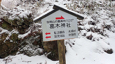 p1264354_thumb.jpg