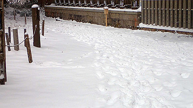 p1264363_thumb.jpg