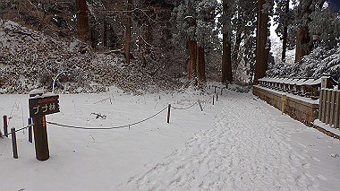 p1264366_thumb.jpg