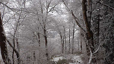 p1264377_thumb.jpg