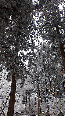 p1264390_thumb.jpg