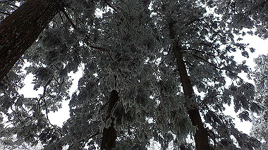 p1264391_thumb.jpg