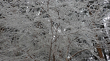 p1264395_thumb.jpg