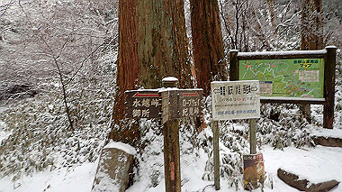 p1264403_thumb.jpg