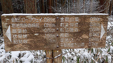 p1264406_thumb.jpg