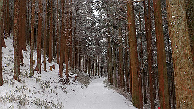 p1264408_thumb.jpg