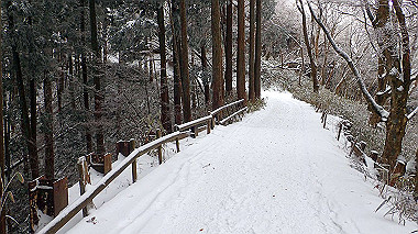 p1264409_thumb.jpg
