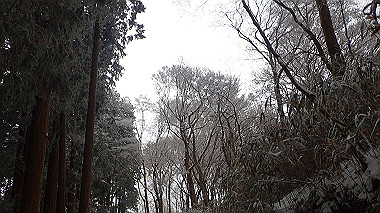 p1264413_thumb.jpg