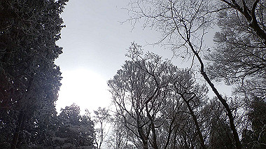 p1264415_thumb.jpg