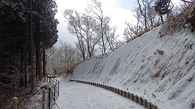 p1264417_thumb.jpg