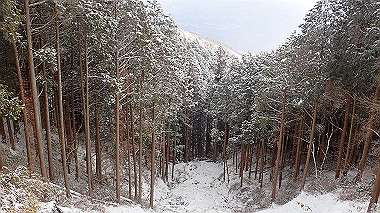 p1264418_thumb.jpg