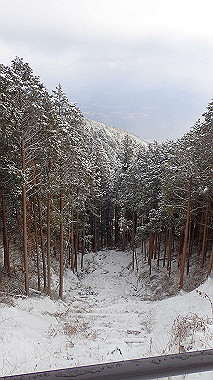 p1264419_thumb.jpg