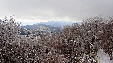 p1264425_thumb.jpg