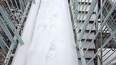 p1264429_thumb.jpg