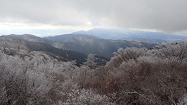 p1264436_thumb.jpg