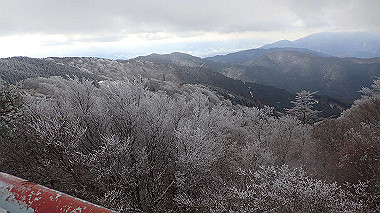 p1264437_thumb.jpg