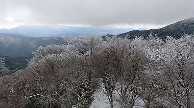 p1264438_thumb.jpg