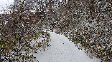 p1264444_thumb.jpg