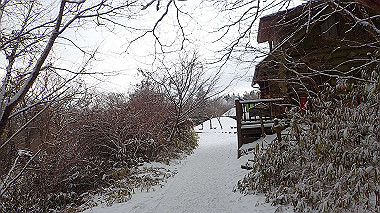 p1264445_thumb.jpg