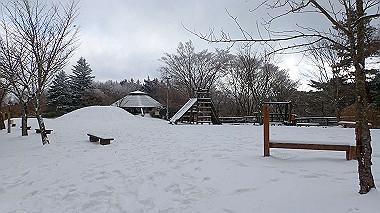 p1264449_thumb.jpg
