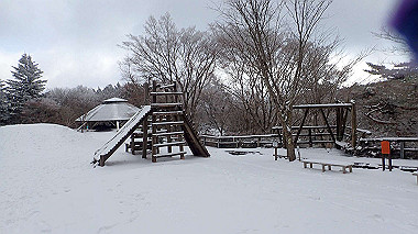 p1264451_thumb.jpg