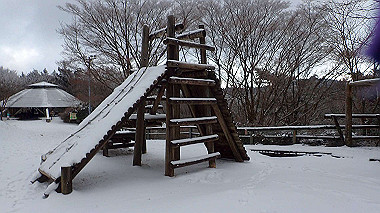 p1264452_thumb.jpg