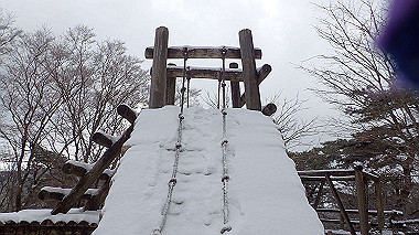 p1264453_thumb.jpg