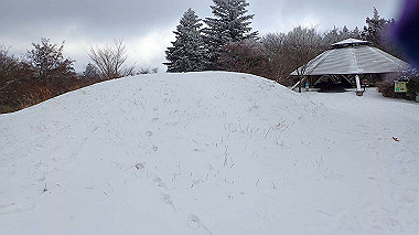 p1264455_thumb.jpg