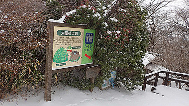 p1264457_thumb.jpg