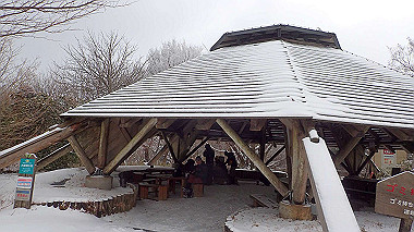 p1264458_thumb.jpg