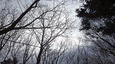 p1264461_thumb.jpg