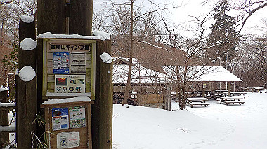 p1264462_thumb.jpg
