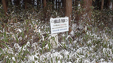 p1264463_thumb.jpg