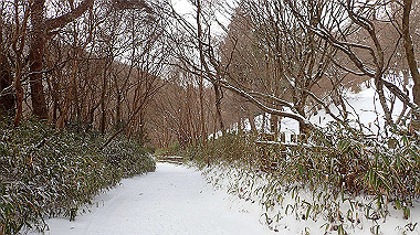 p1264466_thumb.jpg