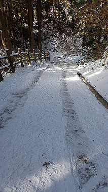 p1264470_thumb.jpg
