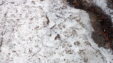 p1264479_thumb.jpg